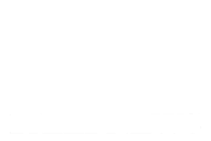 Daily News